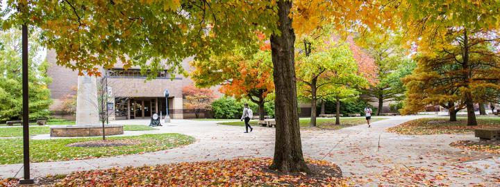 Autumn day on campus.